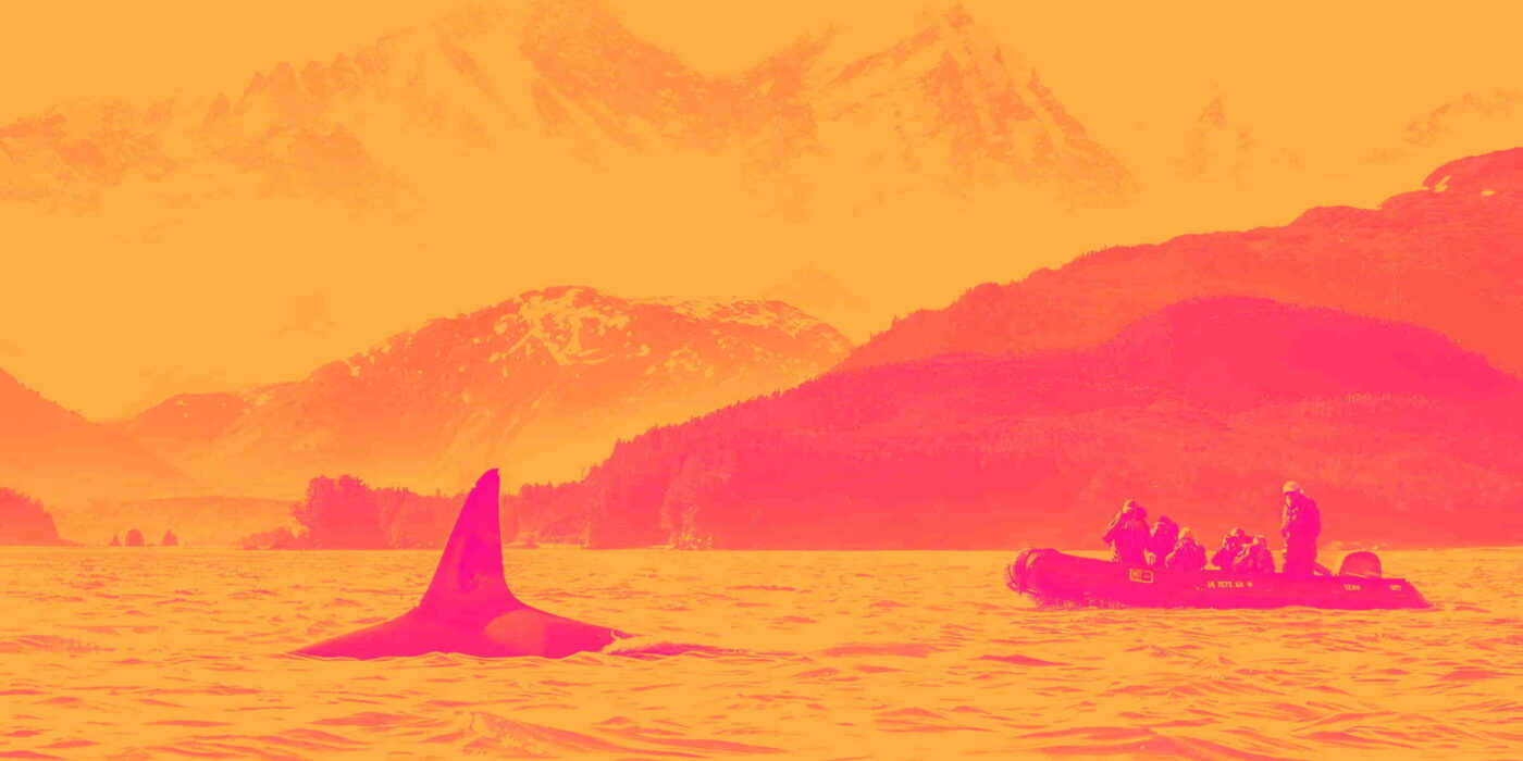 Article header image