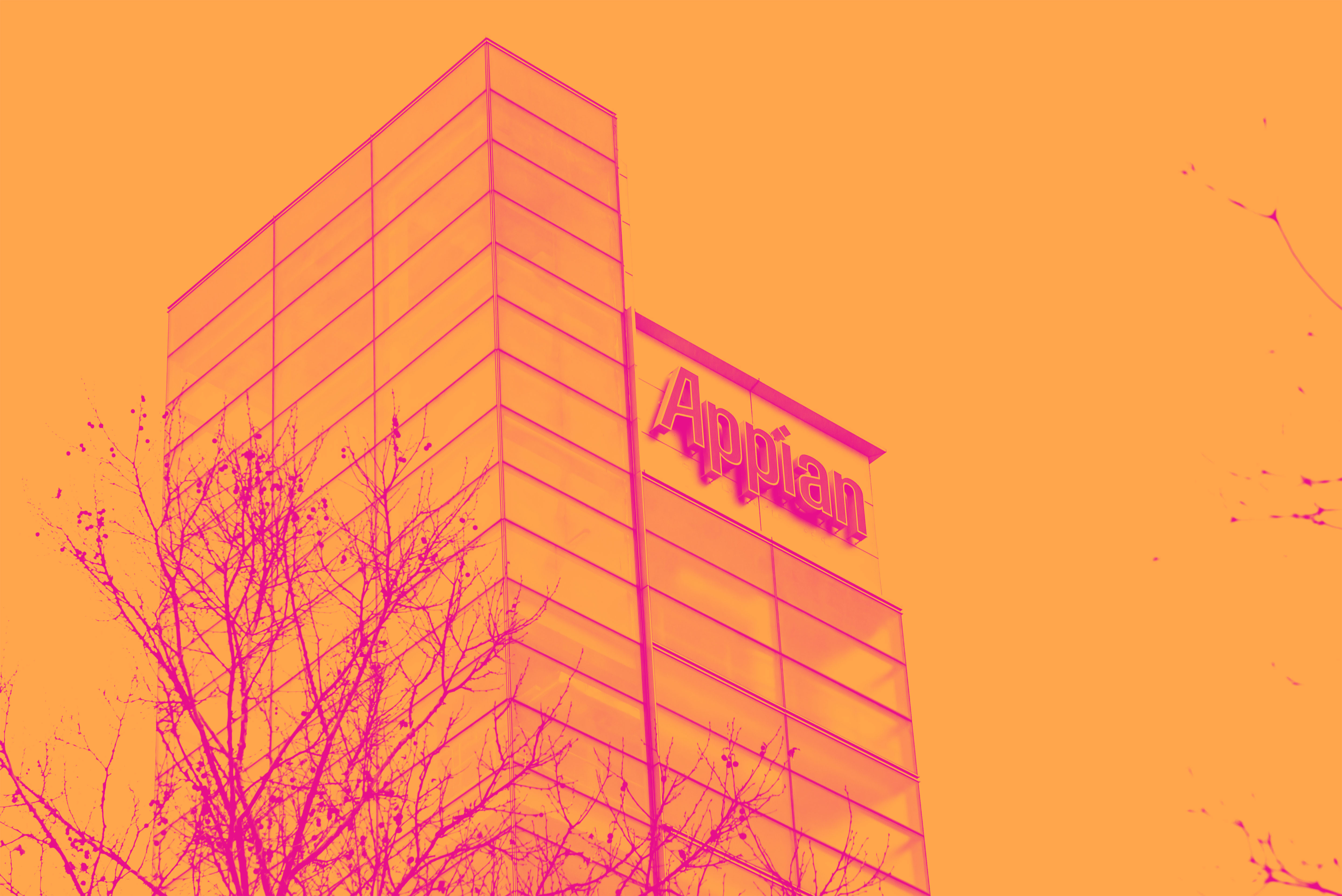 Appian APPN Reports Q4 Everything You Need To Know Ahead Of Earnings appian-appn-reports-q4-everything-you-need-to-know-ahead-of-earnings